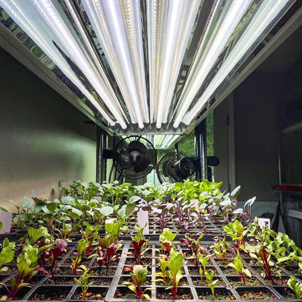 Active Grow