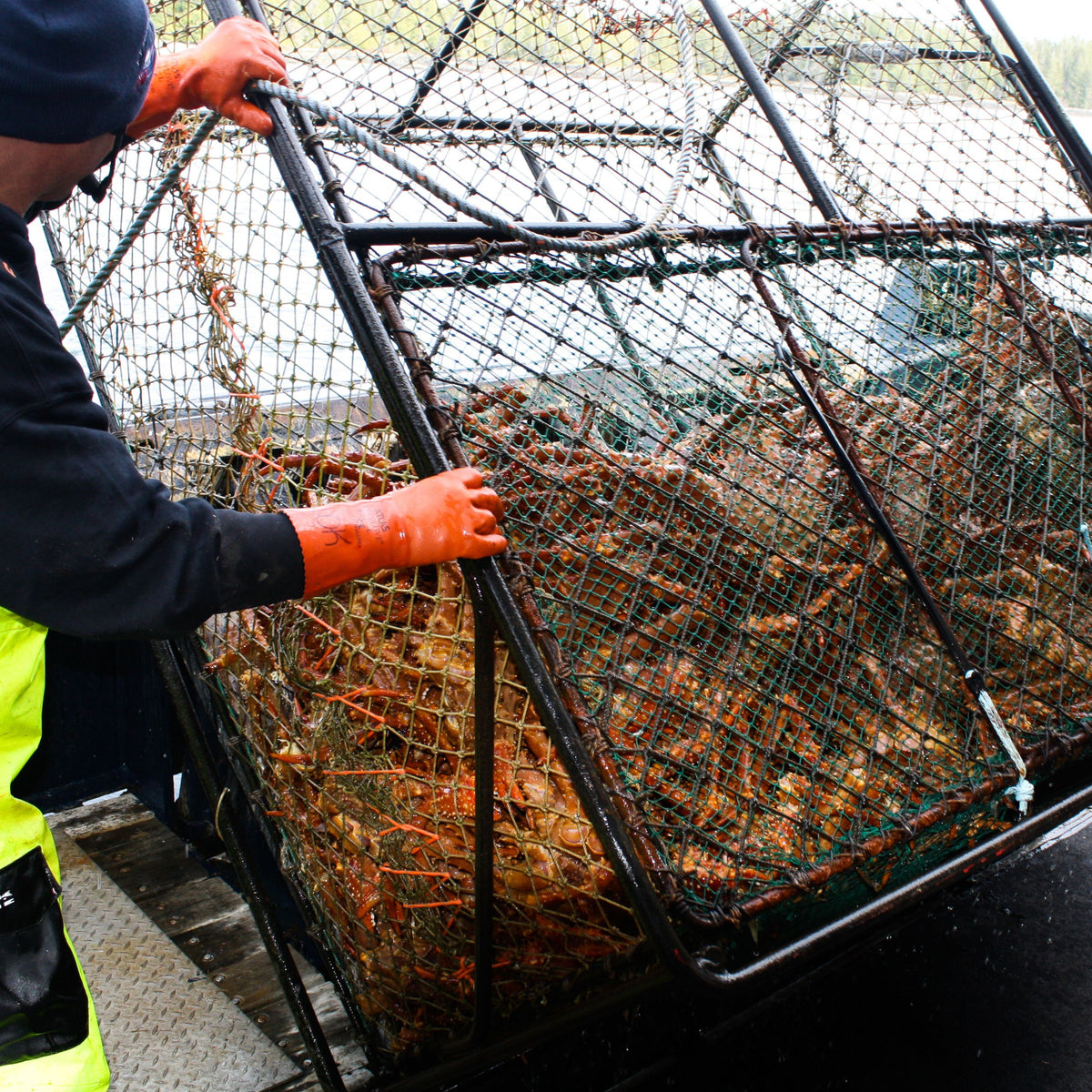 Alaskan Seafood Guys