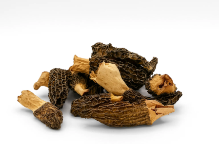 Crown Fungi Wild Mushrooms & Berries