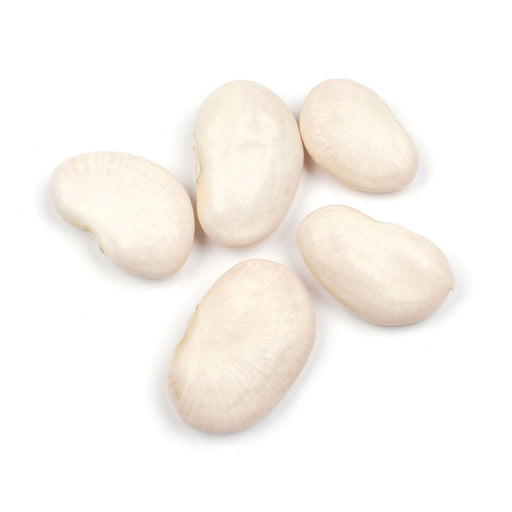 Beans & LegumesGIANT LIMA  BEANSGIANT LIMA BEANSSpecialty Food Source

Experience the heartiness and nutrition of Giant Lima Beans, a gourmet delight. These large legumes are prized for their creamy texture and versatility in culinary