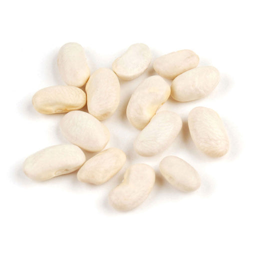 Beans & LegumesCANNELINI BEANS DRYCANNELINI BEANS DRYSpecialty Food SourceThese Italian white kidney beans are known for their mild, nutty flavor and tender texture. An excellent source of protein, fiber, and essential nutrients, Cannellin