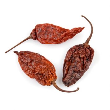 ChileGhost ChilesGhost ChilesSpecialty Food SourceGhost Chile, also known as Bhut Jolokia, is one of the hottest peppers in the world, renowned for its searing heat and subtly sweet, fruity undertones. Ideal for tho
