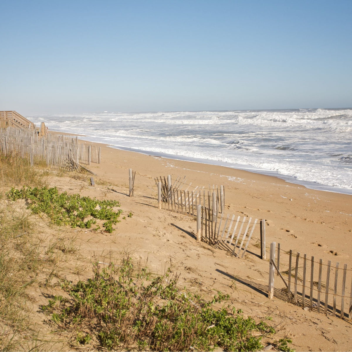 Carolina Coast
