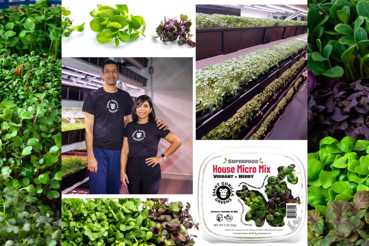Giant Gorilla Greens