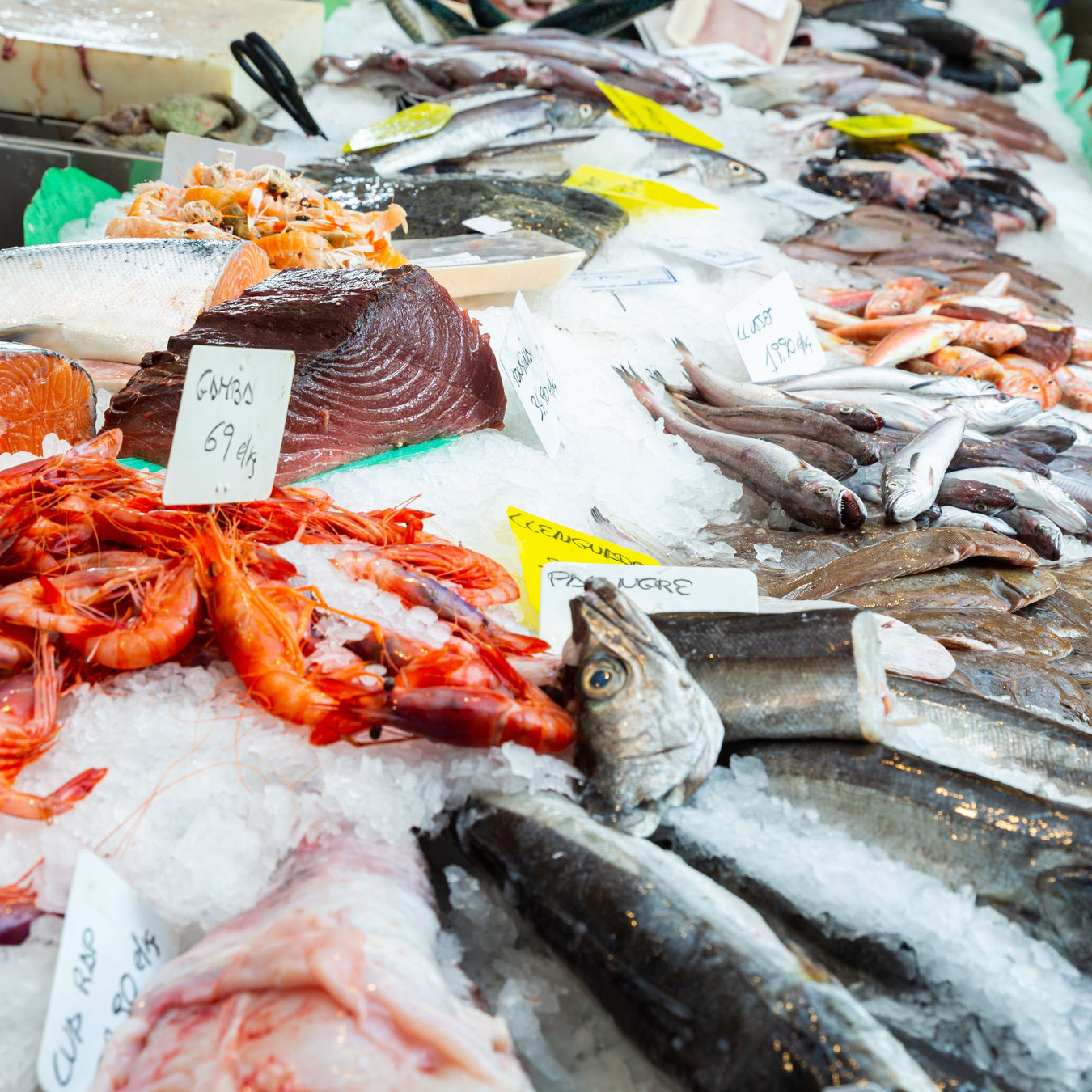 Global Seafood Collection - Premium, Sustainable, World-Class