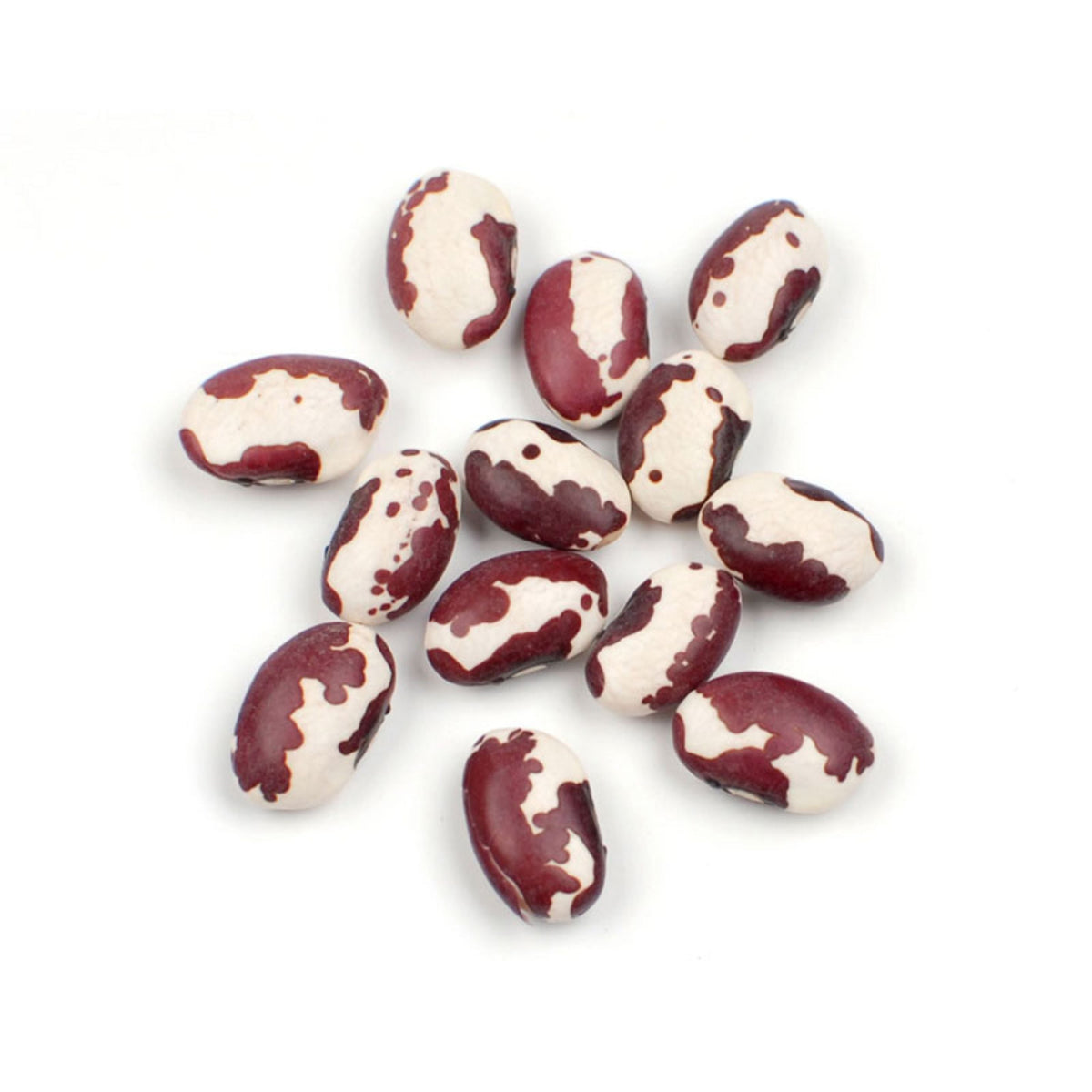 Gourmet Beans - Culinary Excellence in Every Bean