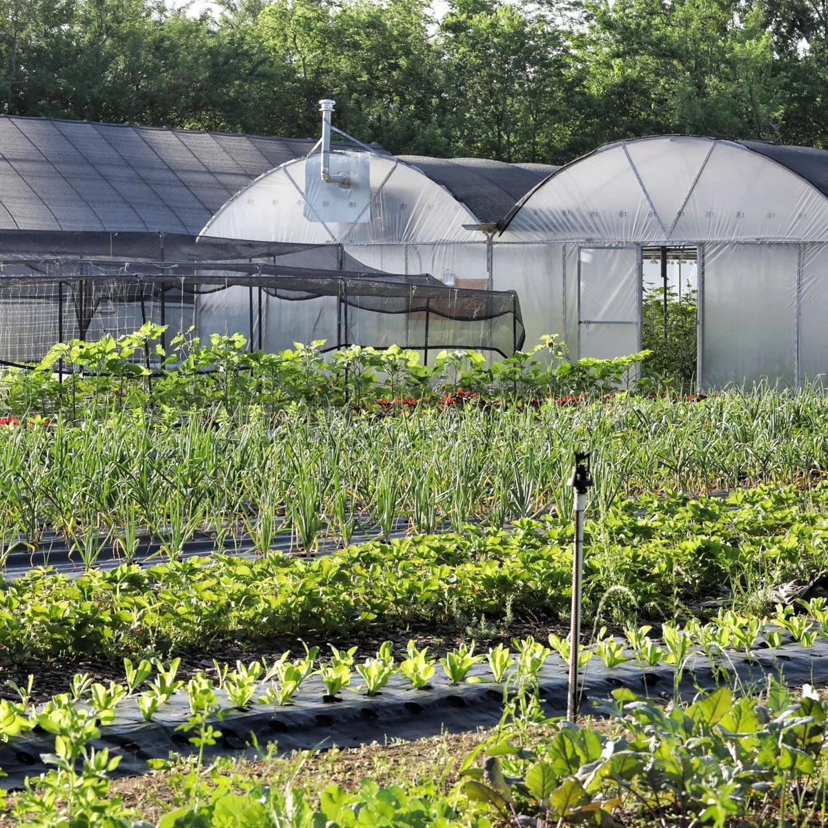 Homesteading, Gardening & Farming Supplies