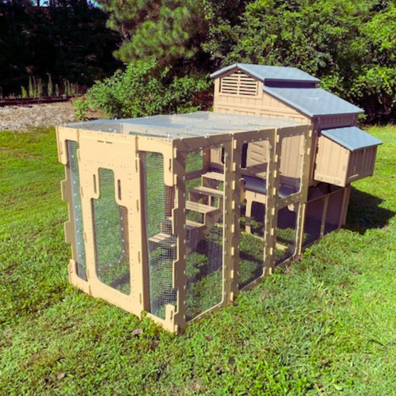 Chicken Coops & Supplies - Reliable Solutions for Happy Hens