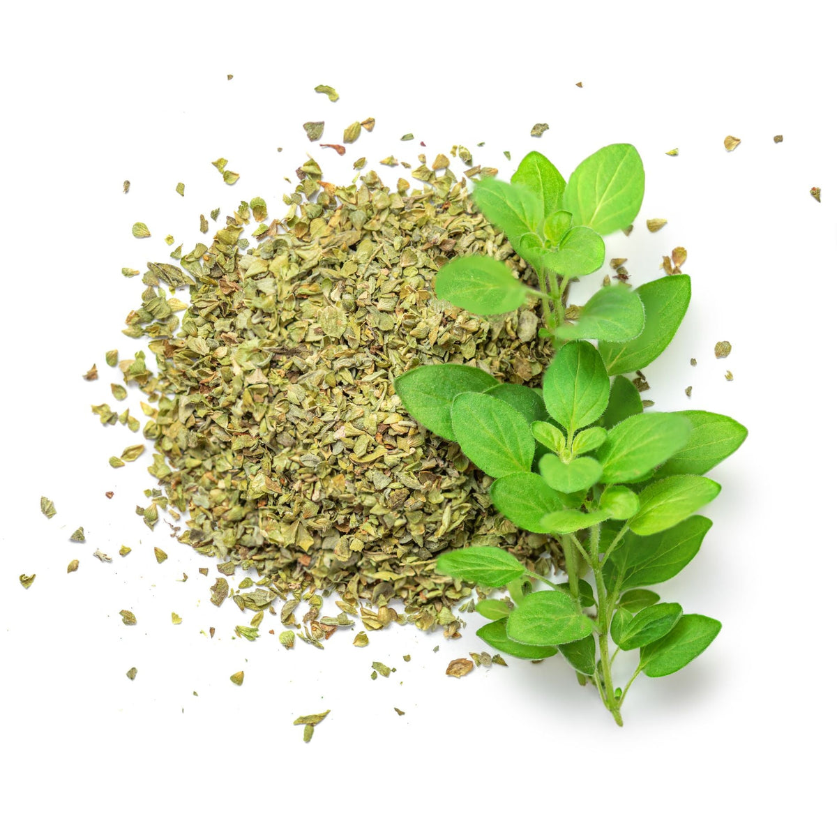 Culinary Herbs Collection – Dried & Fresh