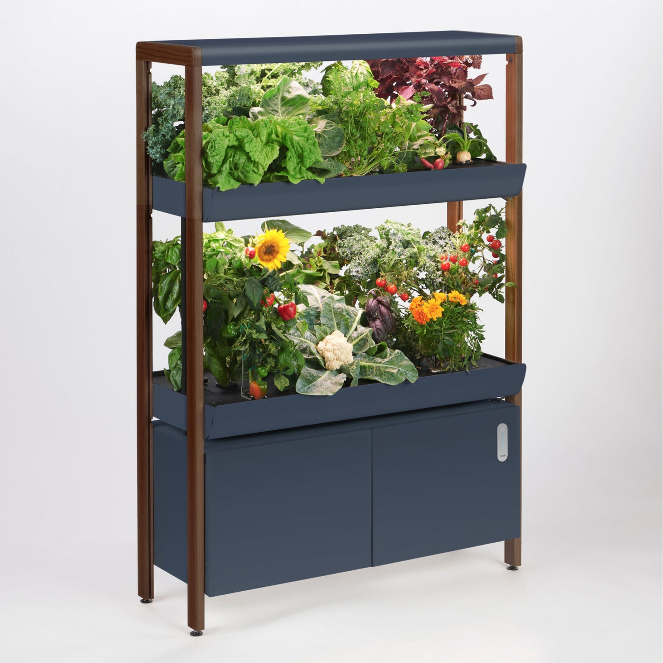 Rise Hydroponic Gardens – Fresh, Sustainable Greens & Herbs