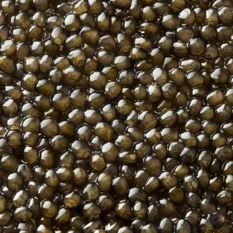 Dorasti Caviar Collection – Premium Imported Caviar | Specialty Food Source