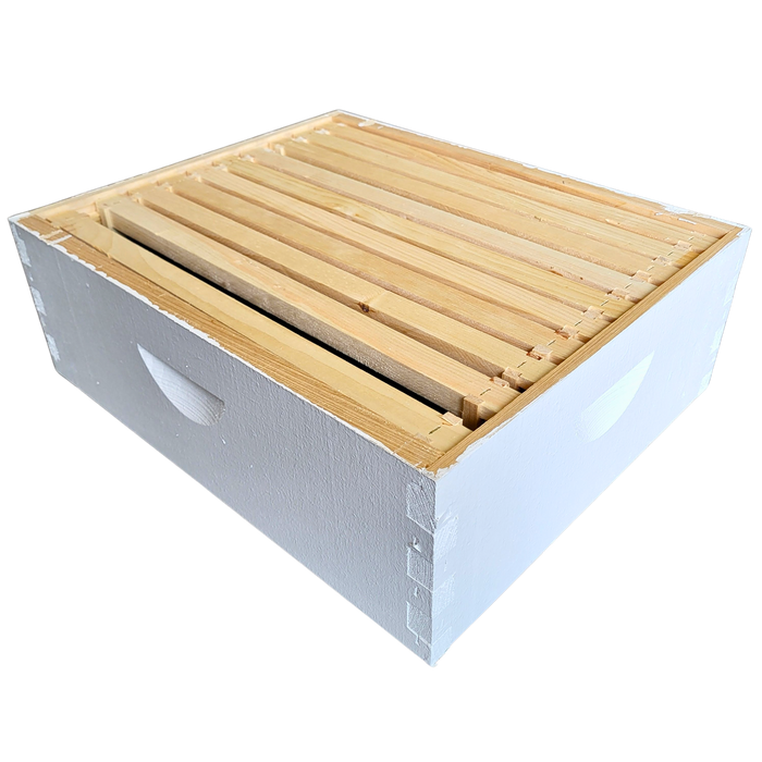 10-Frame Complete, Medium 6 5/8-inch Box with Frames and Foundation