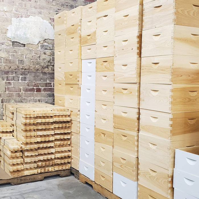 10-Frame Complete, Deep 9 5/8-inch Box with Frames and Foundation