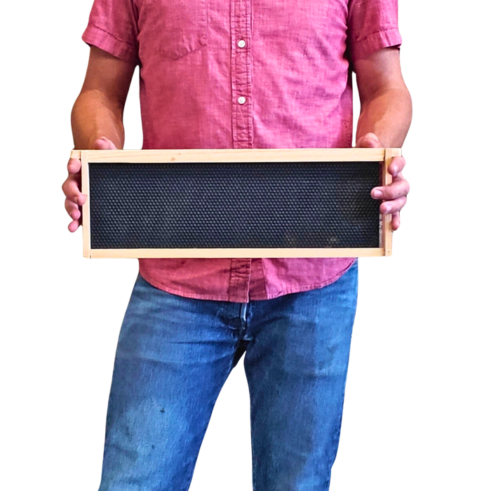 10-Frame All-Medium Box Hive Kit