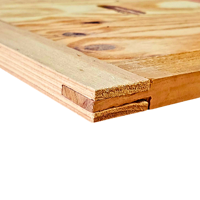 10-Frame All-Medium Box Hive Kit