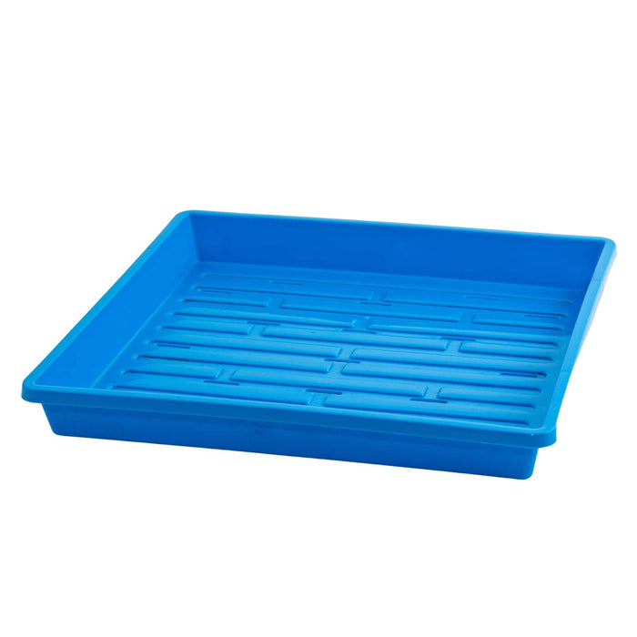 1010 Shallow Seed Trays