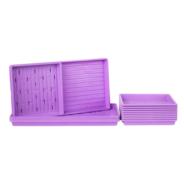 1010 Microgreens Kit