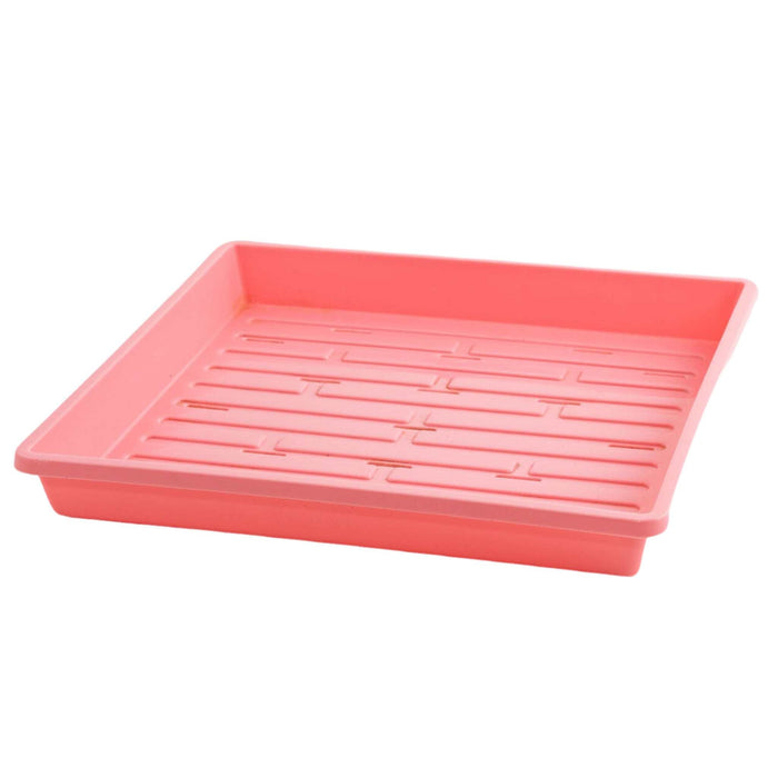 1010 Shallow Seed Trays