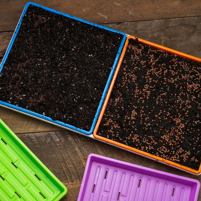 1010 Shallow Seed Trays