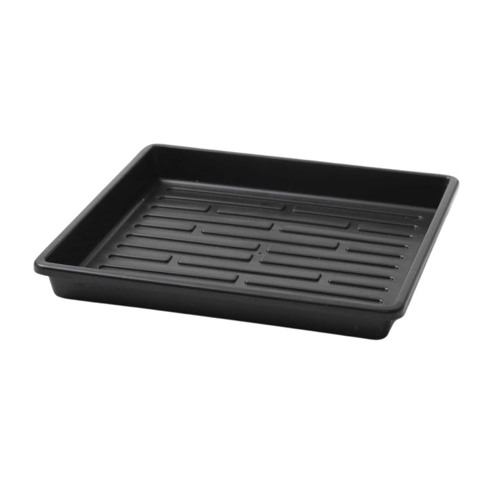 1010 Shallow Seed Trays