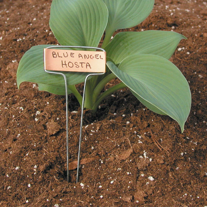 Luster Leaf Classic Impressions Garden 10" Plant Labels | Copper or Zinc 10 Pk.