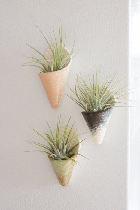 Mini Wall Planter Magnet