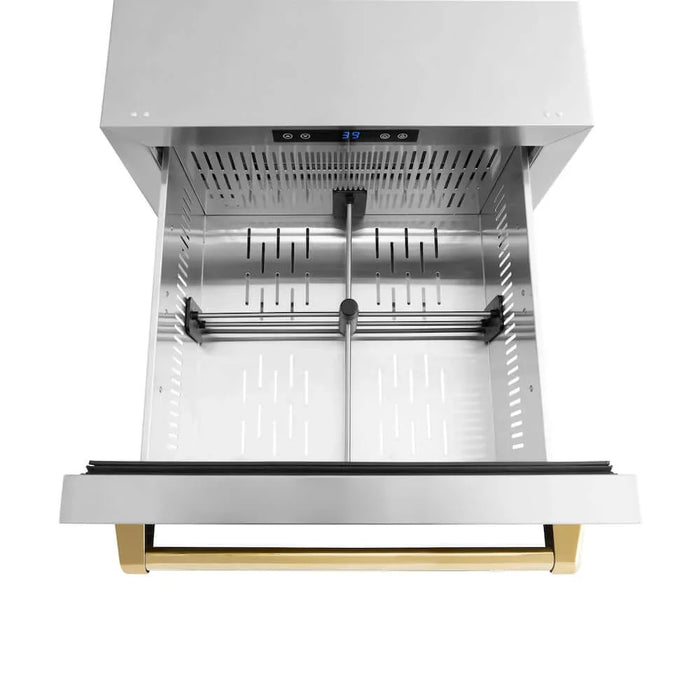 ZLINE 24" Touchstone 168 Can Outdoor-Rated Dual Refrigerator Drawer, Gold, RDSOZ-ST-24-G