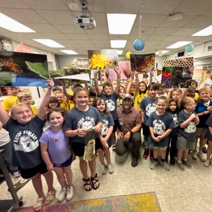 Educational Beekeeping Cards