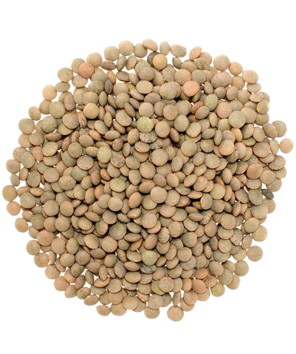 Brown Lentils | 25 LB Bucket | Certified Glyphosate Residue Free