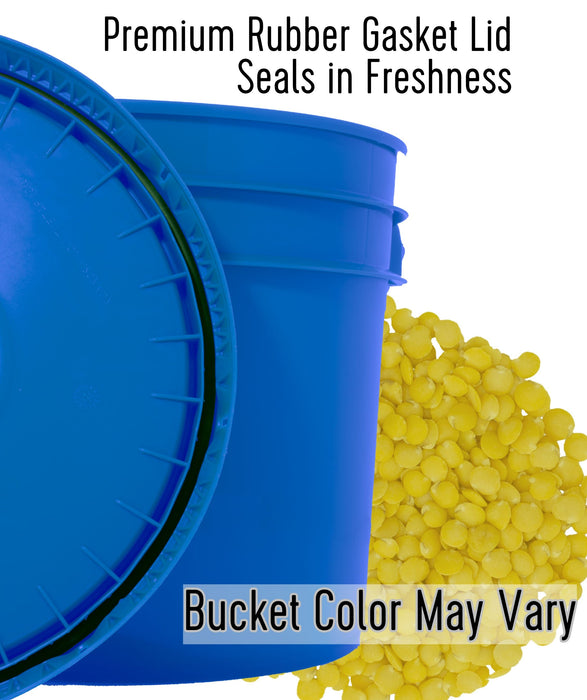 Golden Lentils | 25 LBS Bucket | Certified Glyphosate Residue Free