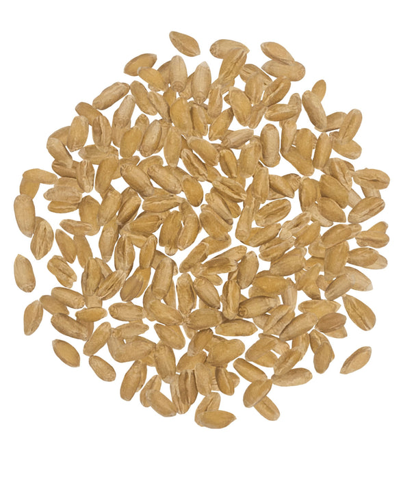 Spelt Berries | 25 LB Bucket