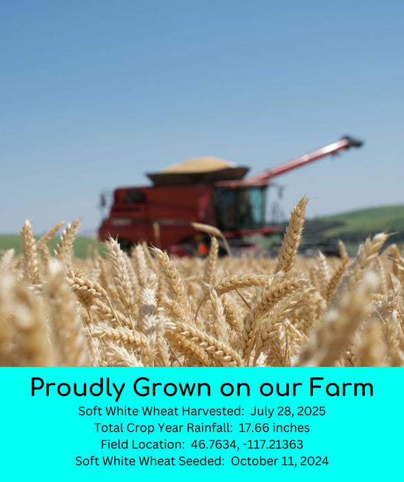 Wheat Bundle | 15 LBS | Certified Glyphosate Residue Free