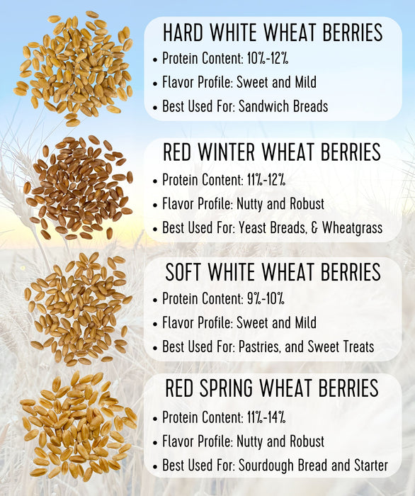 Wheat Bundle | 20 LBS | Certified Glyphosate Residue Free