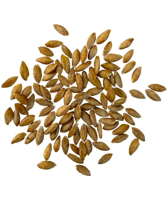 Einkorn Wheat Berries | 25 LB Bucket | Certified Glyphosate Residue Free
