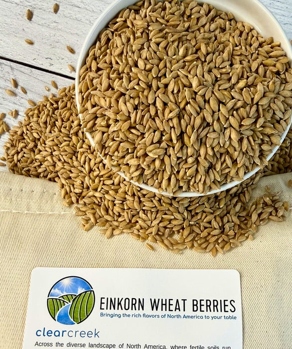 Einkorn, Khorasan, Durum, Rye, Spelt, and Barley Berries | 108 lb (6 x 18 lb bags) | Certified Glyphosphate Residue Free