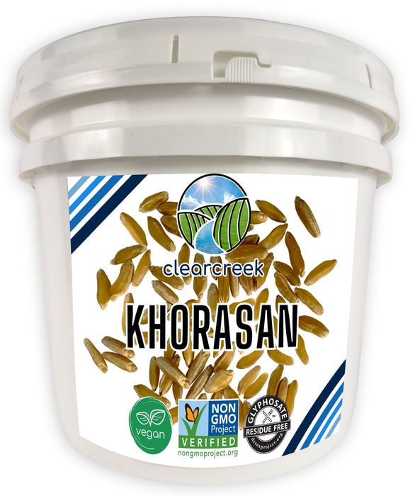 Khorasan Wheat Berries | 25 lb bucket |Certified Glyphosate Residue Free