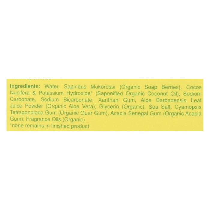 Rebel Green Good Sport Wash Lemon & Peppermint (Pack of 4 - 38 Fl Oz.)