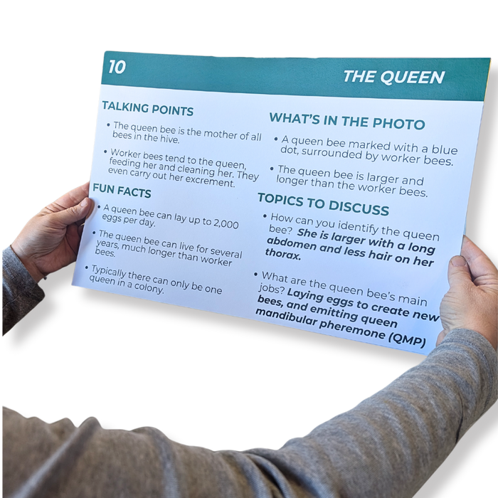 Educational Beekeeping Cards