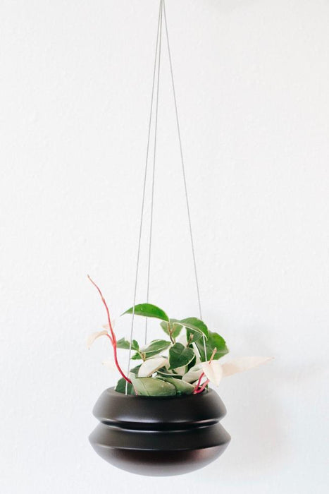 halo metal hanging planter Hanging Planter — Specialty Food Source