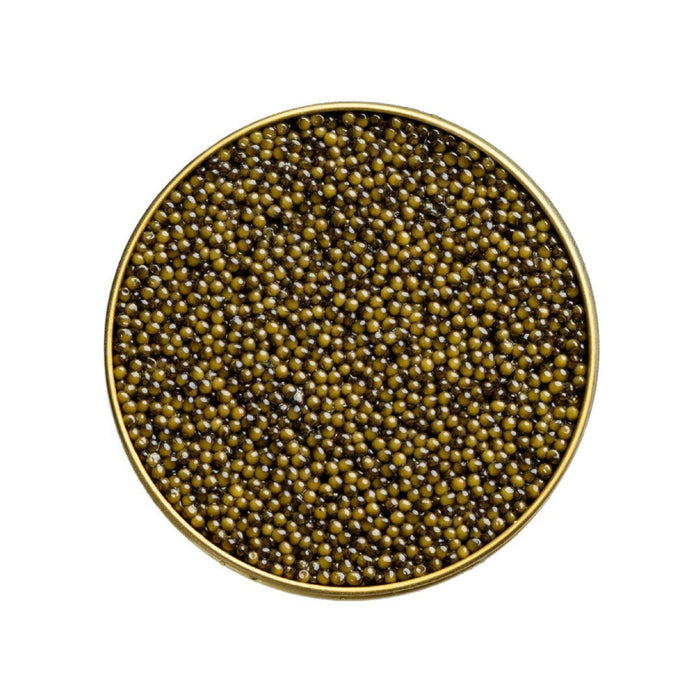 Caviar - Osetra Reserve 56 g (2 oz)