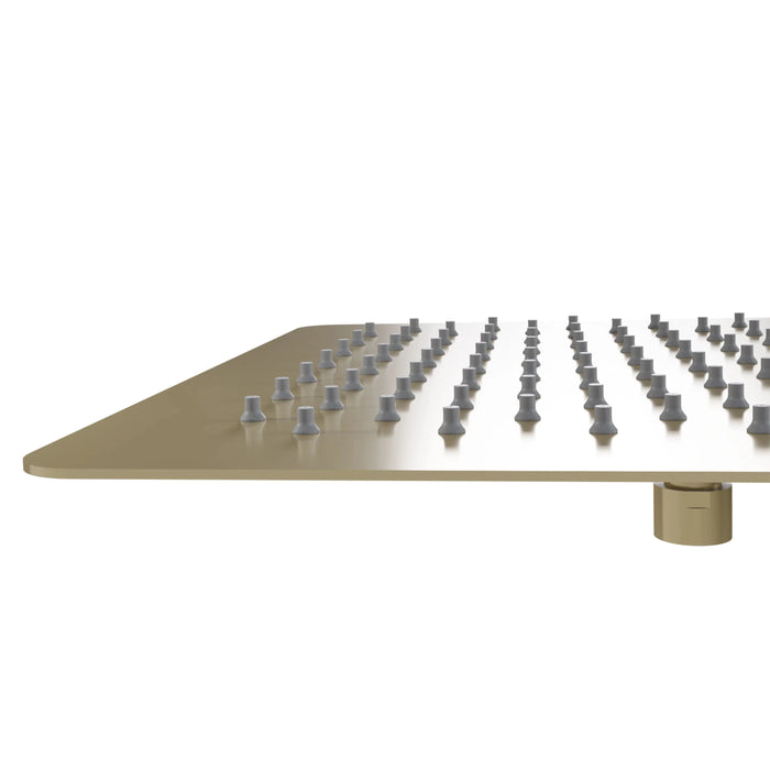 ZLINE 12" Bliss Shower Head in Champagne Bronze BLS-H12-CB