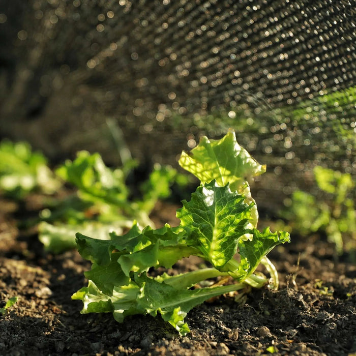 Greenhouse Shade Cloth - 50% Black