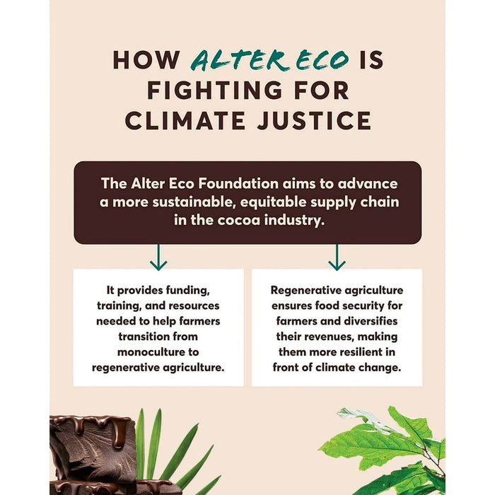 Alter Eco Organic Blackout 100% Dark Chocolate – Fair Trade Swiss Cacao, Pack of 12-2.65 Oz