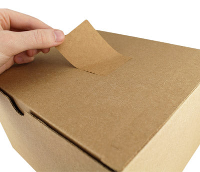 True Kraft Paper Rectangular Labels: 250/Box