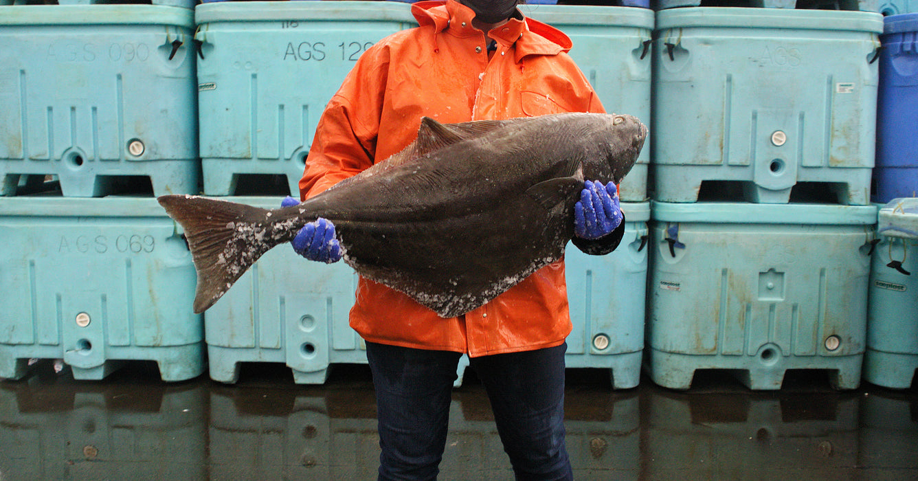 Wild Alaskan Halibut Share - 20 lbs.