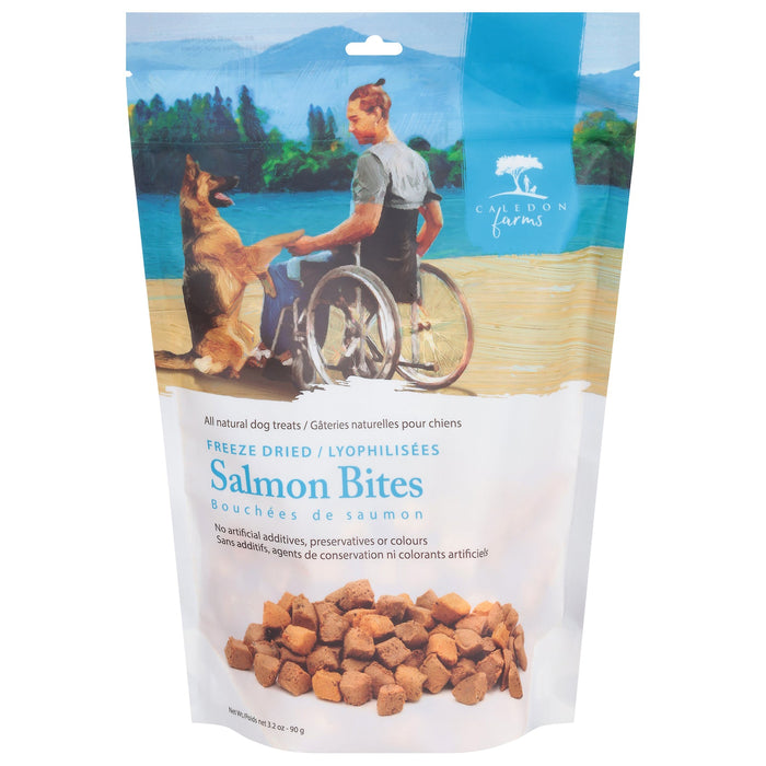 Caledon Farms Freeze-Dried Salmon Dog Treats - 6 x 3.2 oz Case