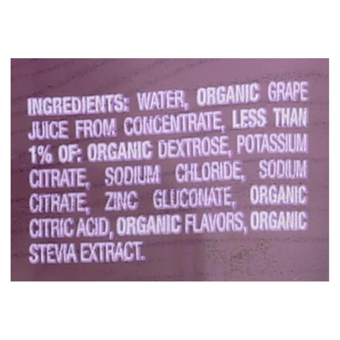 Earth's Best Electrolyte Solution Beverage for Dehydration and Diarrhea | 4-Pack of 33.8 Fl Oz Bottles