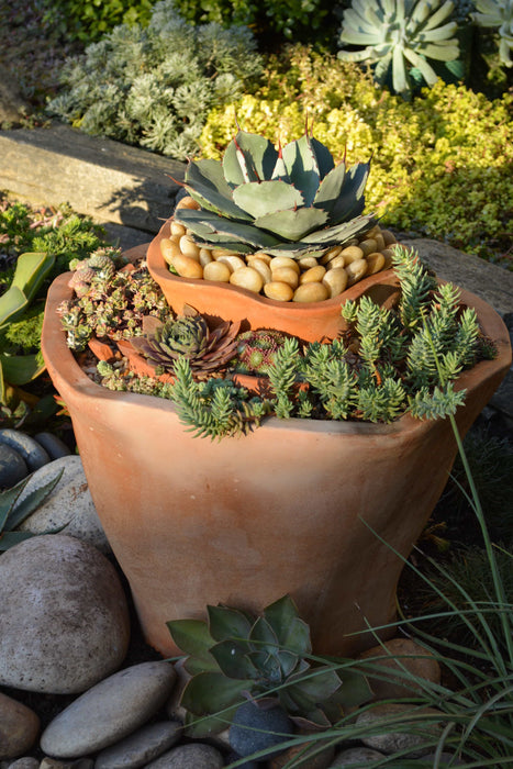 Peace, Love and Gardening: Understanding Pacific Northwest Gardens and Do-It-Yourself Projects to Beautify Them – From the Best of the Pecks' Columns