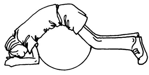 Exercise Ball & Physical Therapy Cards - 89 Exercises in 6 Categories