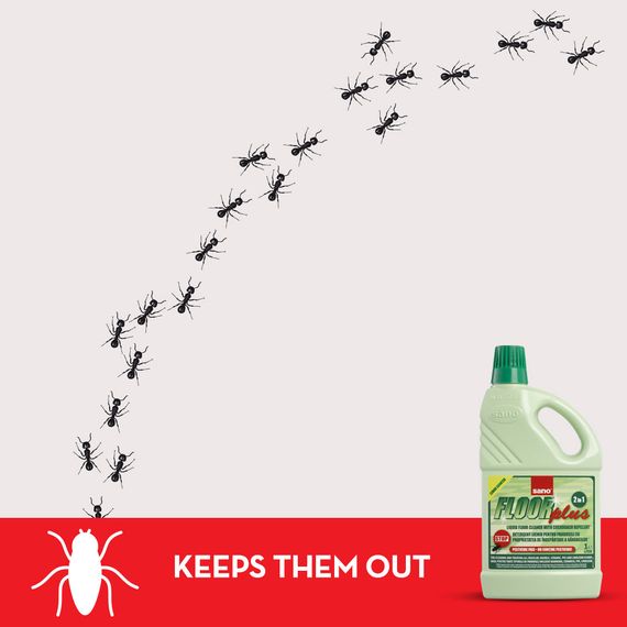 2 in 1 FloorPlus Cleaner | Cockroach Repellent | 2 L | sano